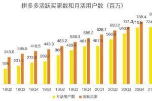 蓝海项目拼多多视频带货课，2022年入百万新风口【视频教程+软件】