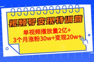 21天视频号变现特训营：单视频播放量2亿+3个月涨粉30w+变现20w+（第14期）