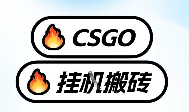 真全网独家CSGO挂G,最新玩法,单日捡漏1K+,不用电脑,不用打游戏【揭秘】插图 真全网独家CSGO挂G,最新玩法,单日捡漏1K+,不用电脑,不用打游戏【揭秘】