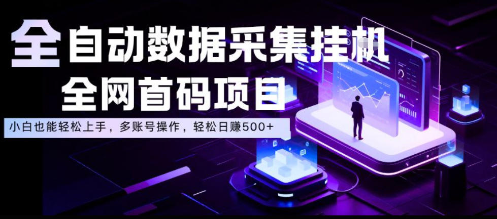 全自动数据采集挂G，全网首码项目，简单易操作，小白也能轻松上手，多账号操作，轻松日入500+【揭秘】